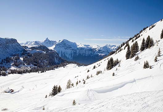 Les Carroz Transfers